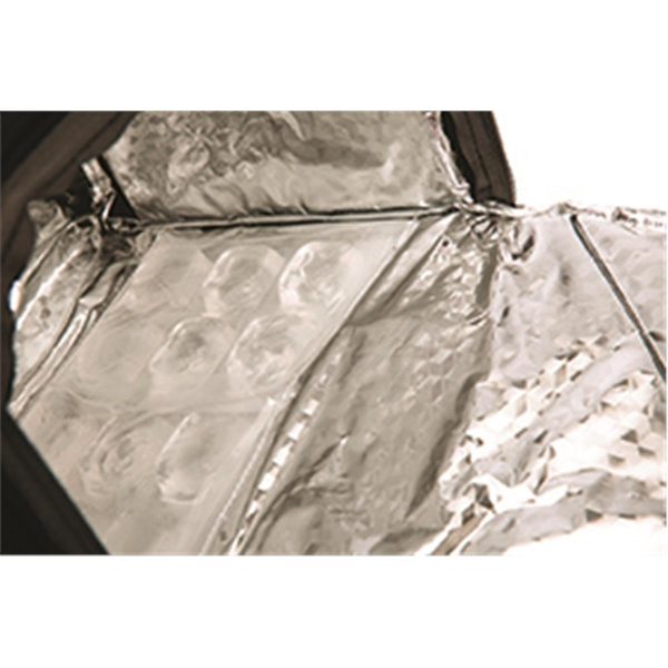 IceStar Freezable Cooler