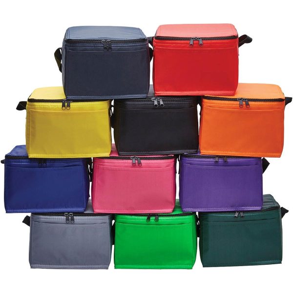 ARCTIC COOLER BAG