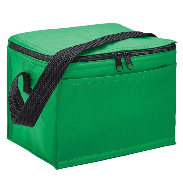 ARCTIC COOLER BAG