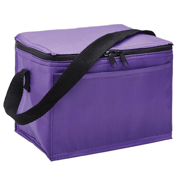 ARCTIC COOLER BAG