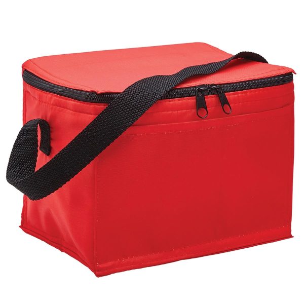 ARCTIC COOLER BAG