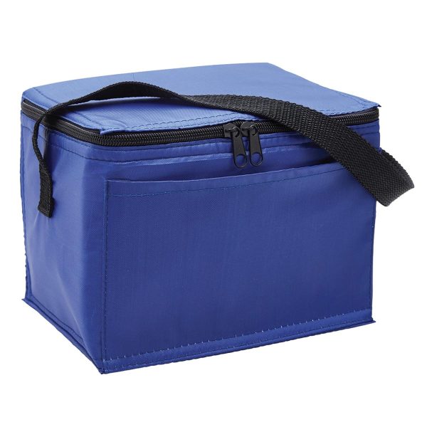 ARCTIC COOLER BAG