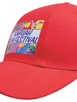 Brushed Heavy Cotton Pro-Rotated Cap