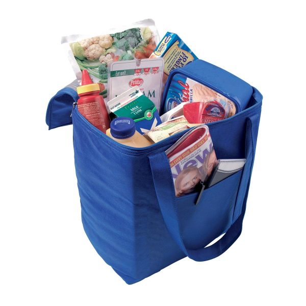 NON-WOVEN COOLER BAG