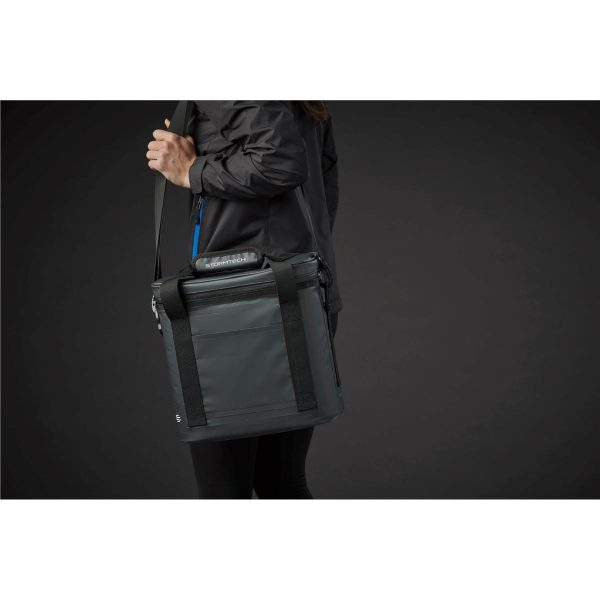 SALT SPRING COOLER BAG- DOLPHIN