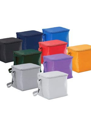 SMALL COOLER BAG 