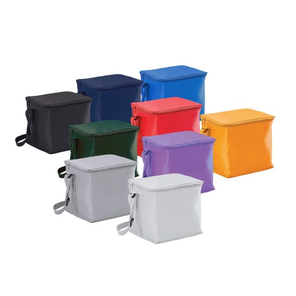 SMALL COOLER BAG