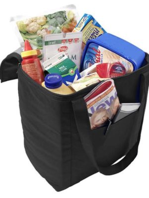 NON-WOVEN COOLER BAG