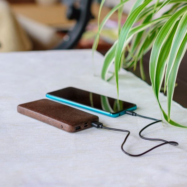 COCONUT POWER BANK (MOQ 100)