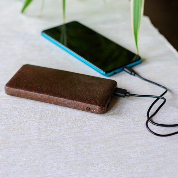 COCONUT POWER BANK (MOQ 100)