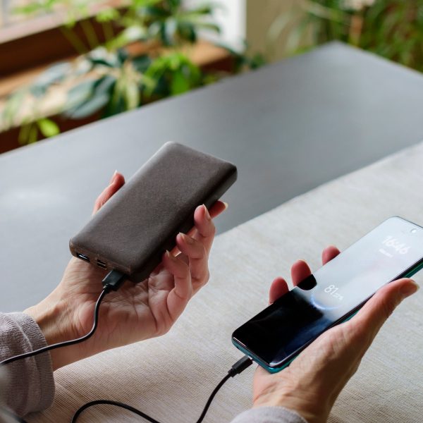 COCONUT POWER BANK (MOQ 100)