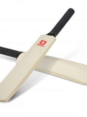 Mini Cricket Bat