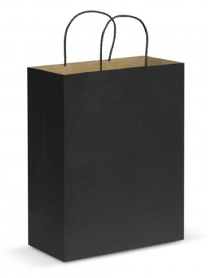 Paper Carry Bag - Large