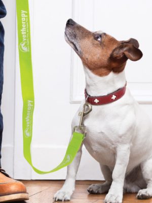 Trek Dog Leash
