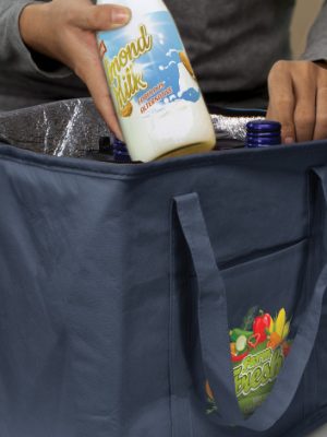 Sierra Shopping Cooler