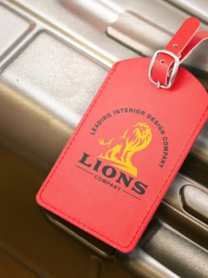 Aero Luggage Tag