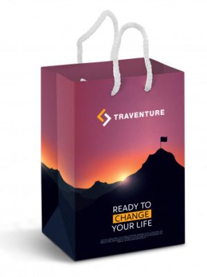 Small Laminated Paper Carry Bag - Full Colour
