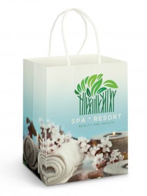 Large Paper Carry Bag - Full Colour