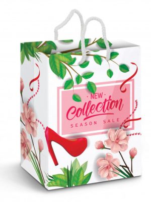 Large Laminated Paper Carry Bag - Full Colour
