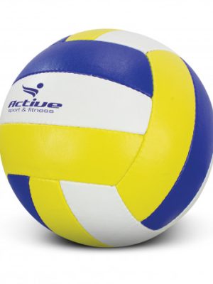 Volleyball Pro