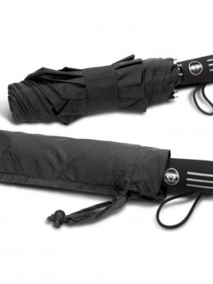 Director Umbrella