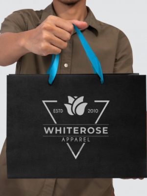 Large Ribbon Handle Paper Bag