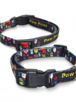 Amigo Dog Collar