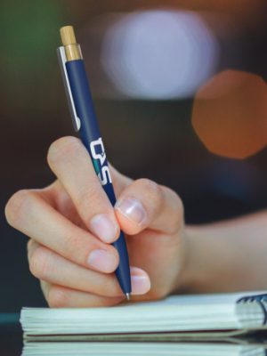 Windsor Pen